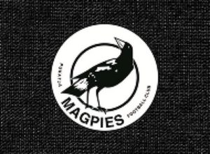 Two Wells Magpies Football Club